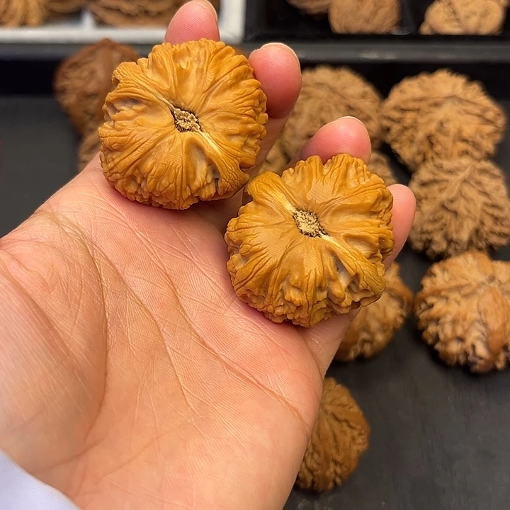 核桃秦岭突突突突突突18