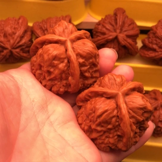 萝***刚核桃核桃核桃核桃核桃