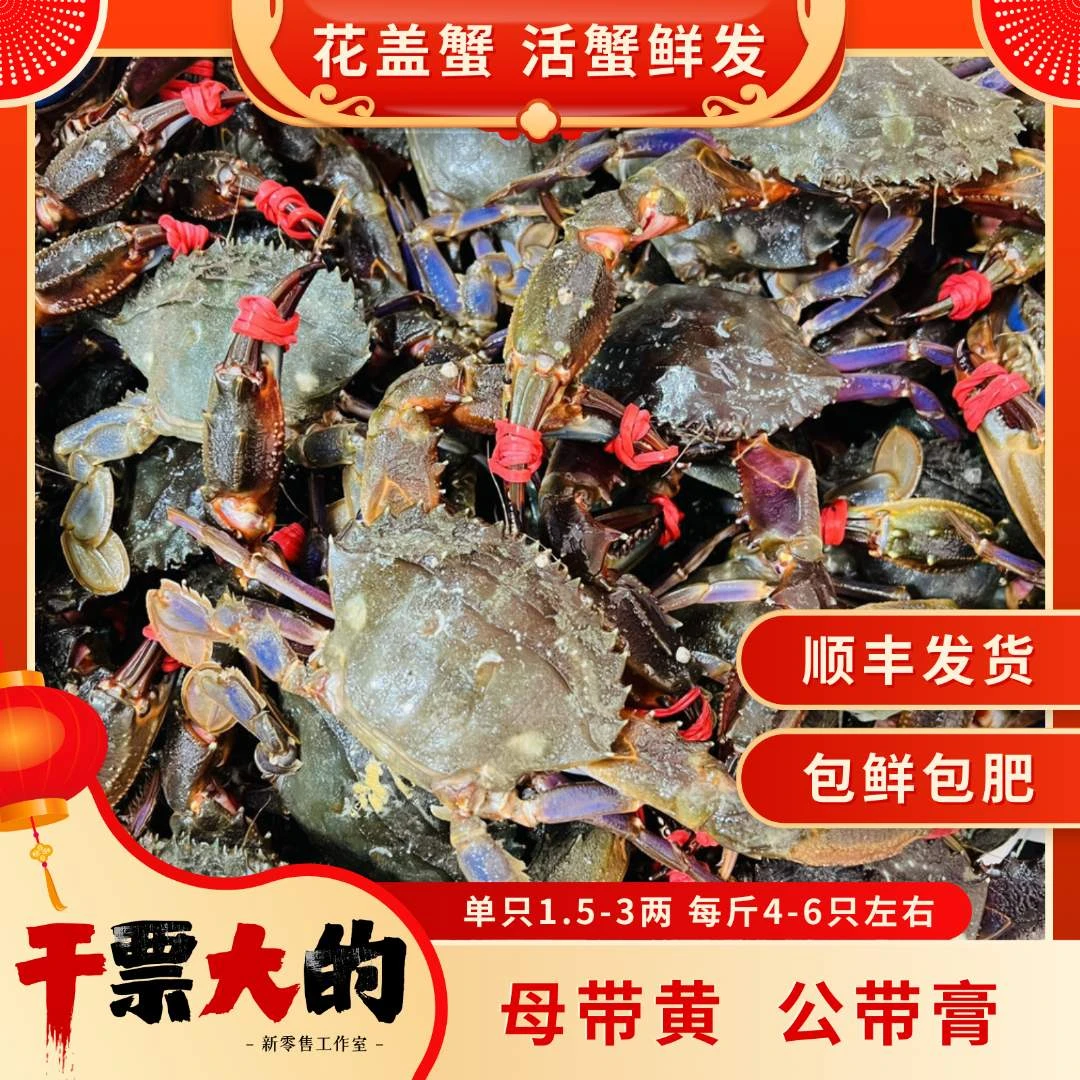 干票大的【包鲜不包活】花盖蟹 单只1.5-3两左右 每斤4-6只左右【腿夹不包全】
