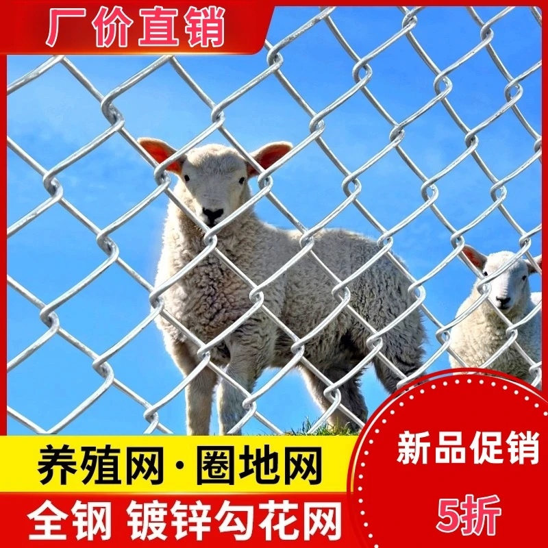 热镀锌勾花铁丝网护栏围栏栅栏户外围墙防护鸡猪羊圈养殖钢丝网格