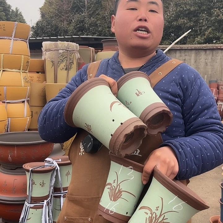 紫砂紫砂花盆盆栽