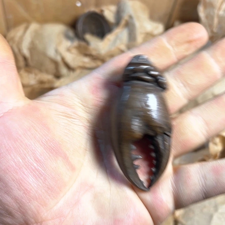 创意设计制作工艺