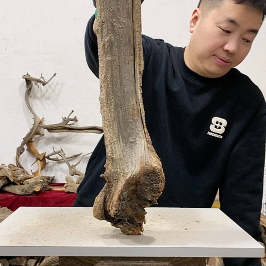 【闪购商品】柏木水**成我们都是好孩子