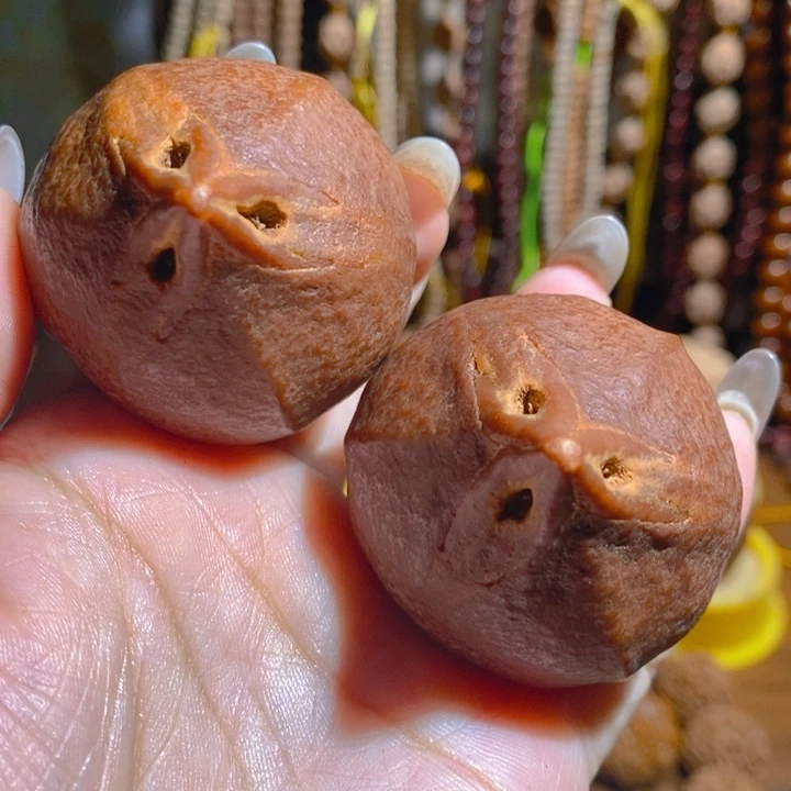 矮桩巨无霸红油大橄榄核4467