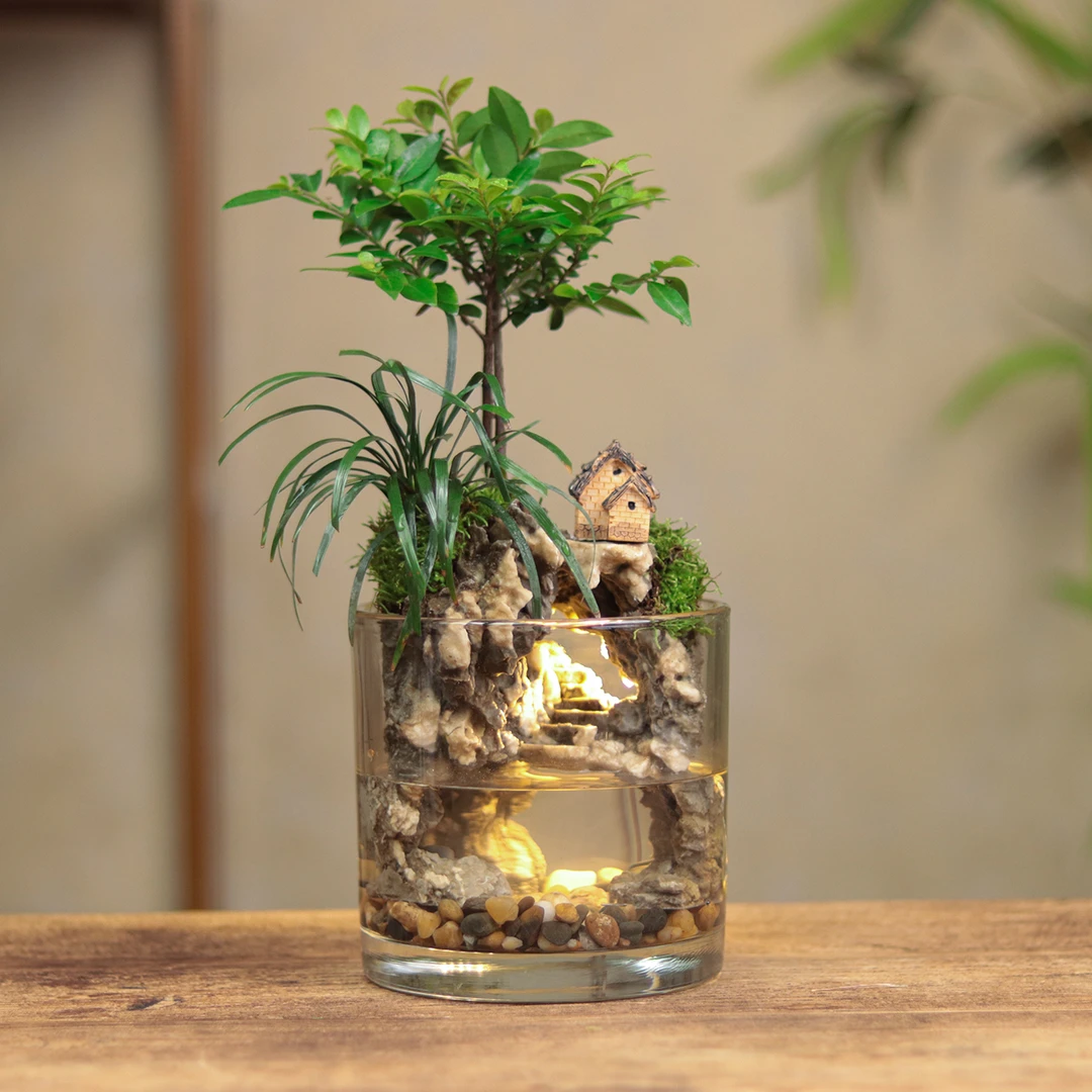 [紫檀御水·mb]小叶紫檀创意绿植室内禅意国风摆件带灯鱼缸12*12cm