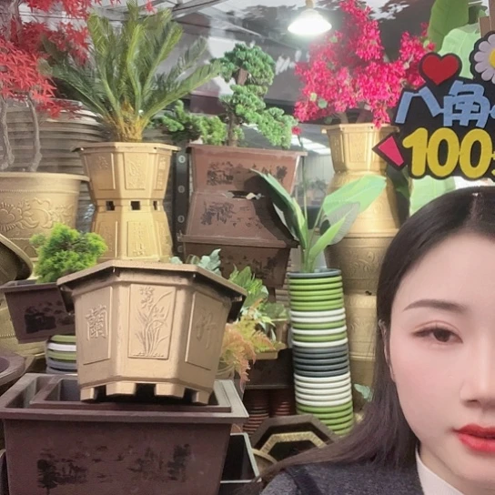 复合八角40盆2个