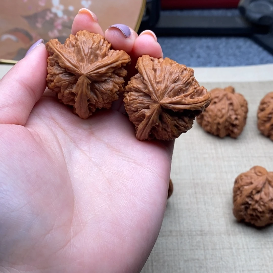 -***恙白狮子11111111111