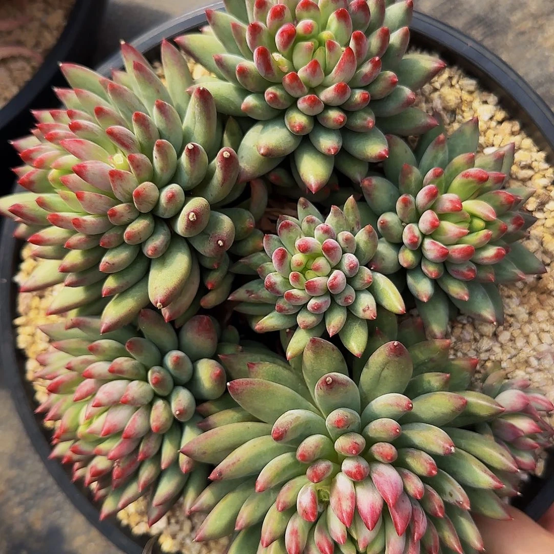 野***燚啦啦啦啦啦啦噜啦啦啦啦啦啦啦啦咯哦哦8