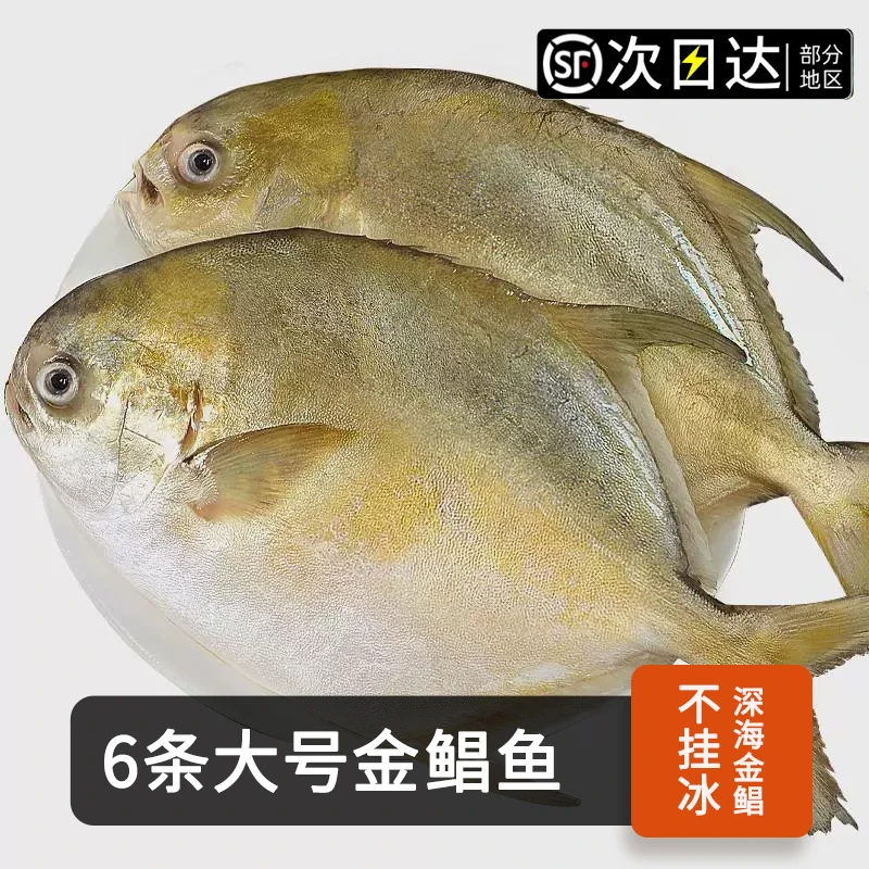 顺丰次日达【6条金鲳鱼400g/条】新货金鲳鱼新鲜海鱼海鲜水产鲜活冻