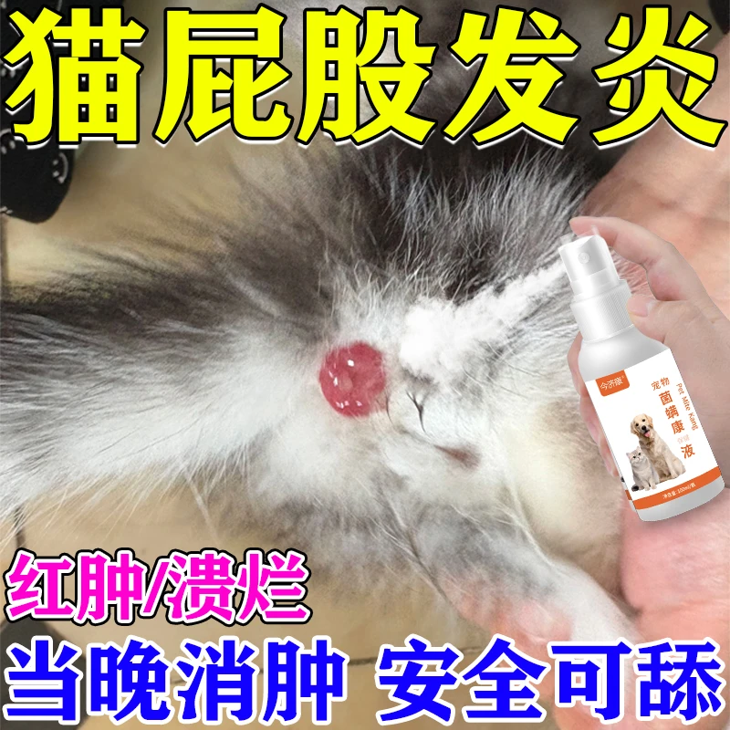 小猫屁股红肿外翻专用喷雾猫咪肛门腺炎瘙痒流脓屁股蹭地止痒消炎