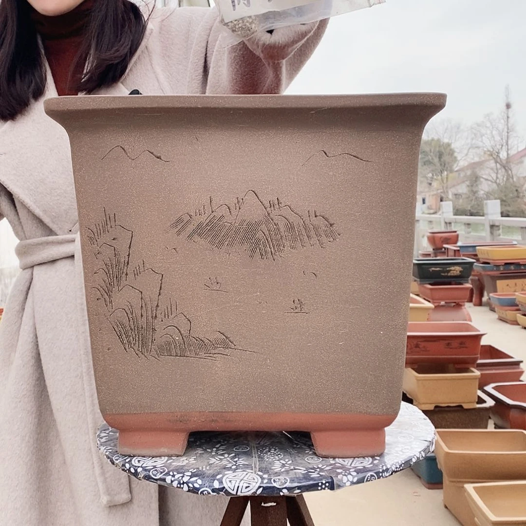 紫砂花盆紫砂花盆