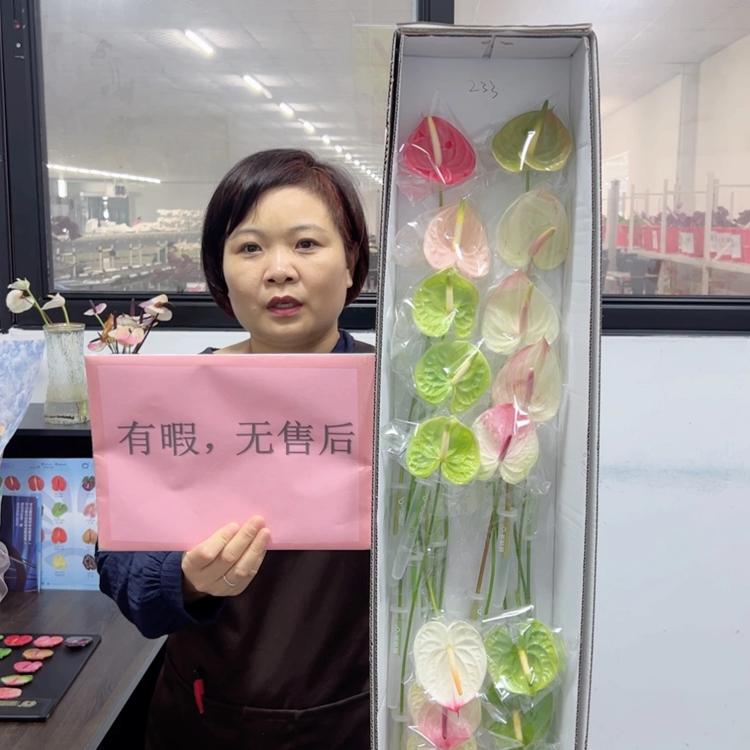 完全开放混色20枝迷你无售后款233