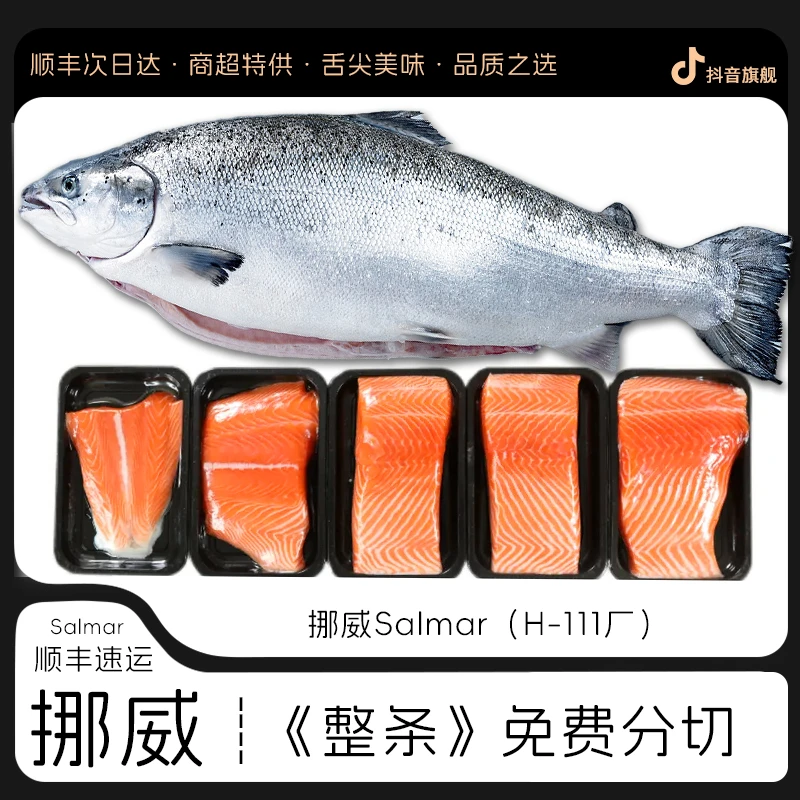 新鲜【挪威整条12-14斤】挪威Salmar进口冰鲜三文鱼整条 冰鲜大西洋鲑鱼 顺丰同城次日达