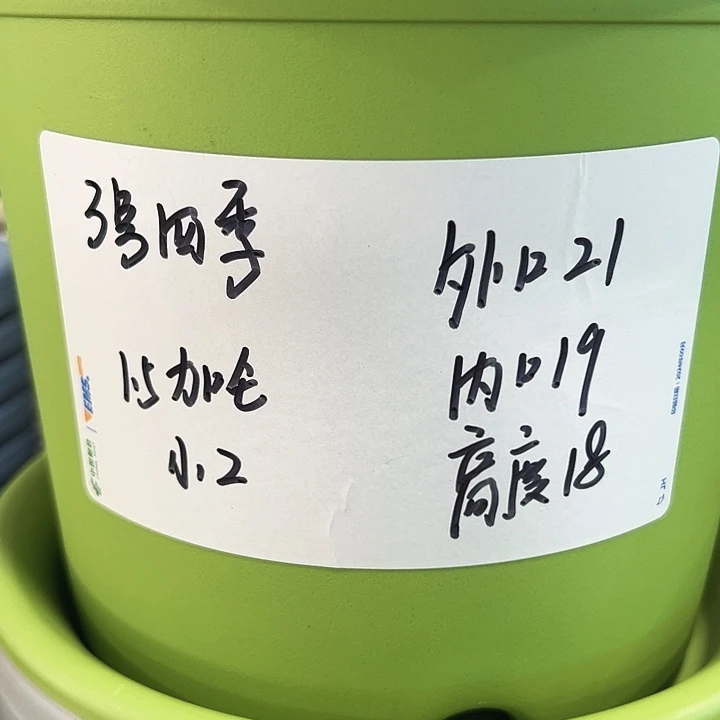 特价3号口21高18白色10只带托