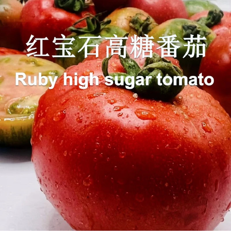 【加浓理想】红宝石高糖草莓番茄小果3斤装单果20~50g