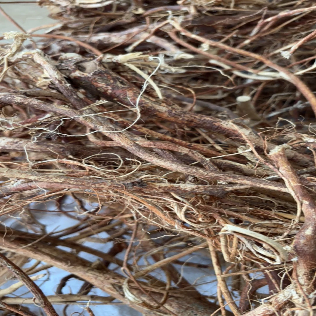 广西深山五指毛桃根茎（干货）整棵，可以帮切
