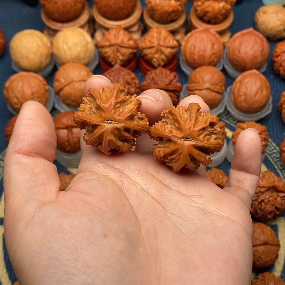 文玩核桃把件珊瑚