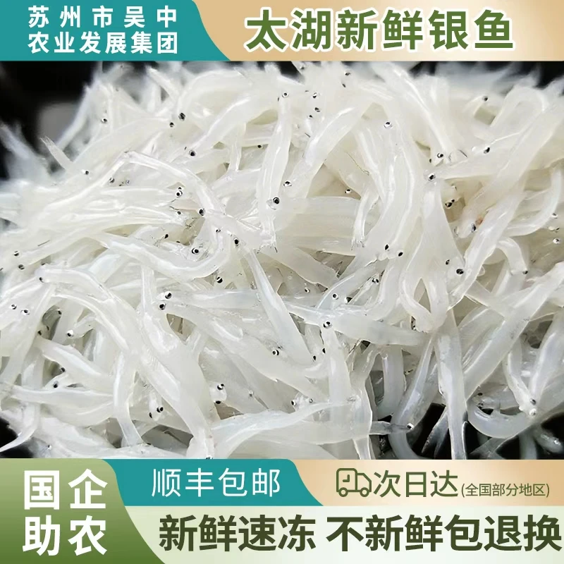 银鱼苏州特产太湖渔港银鱼新鲜包邮冷冻宝宝辅食孕妇老人非银鱼干两斤