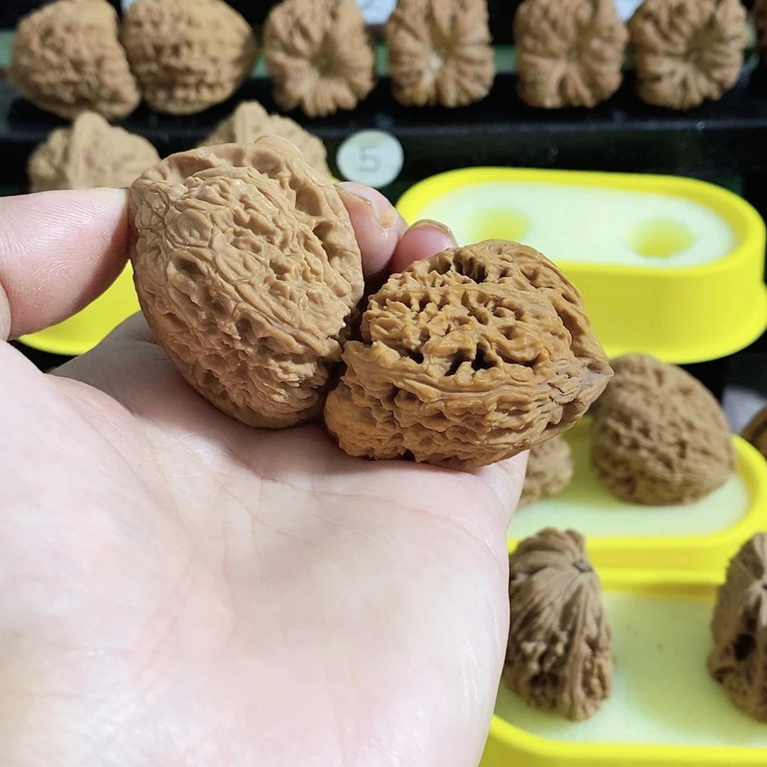 木质类今天是不是