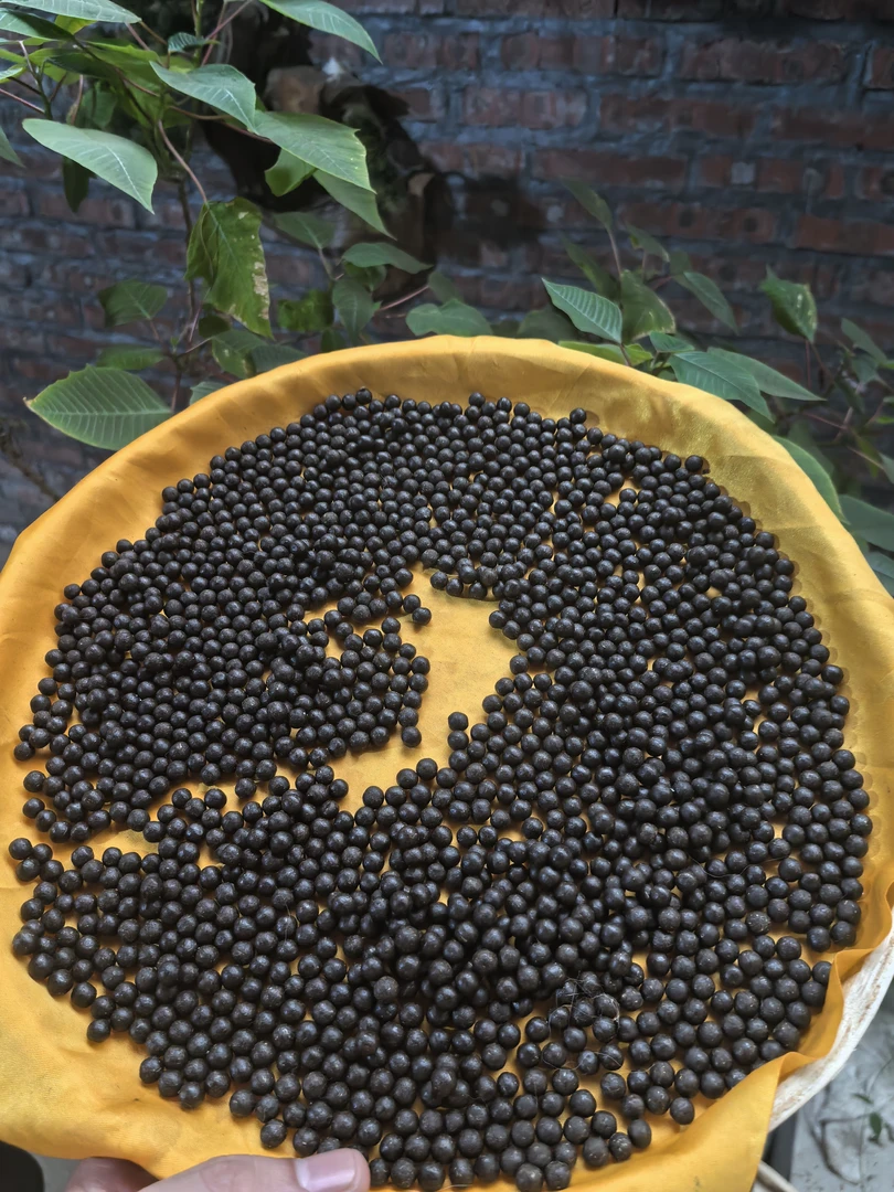 6【现收好物】  小✘金✘丹   藕150g-500g