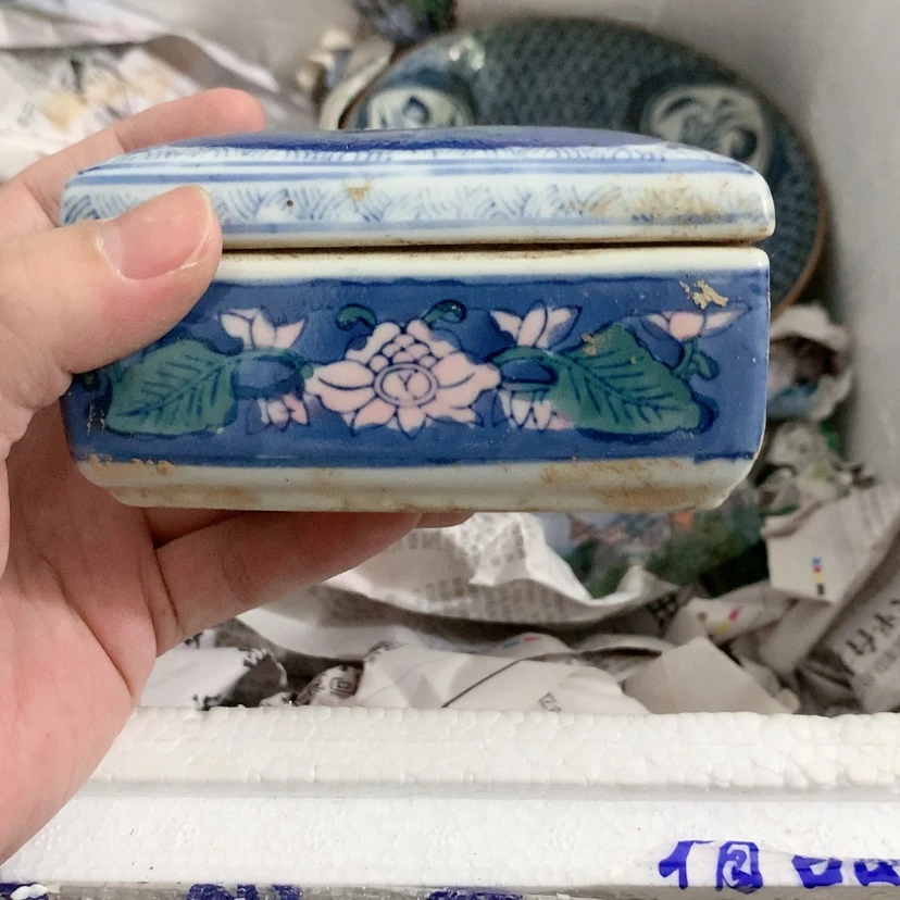 【闪购商品】养****维来了来了来了