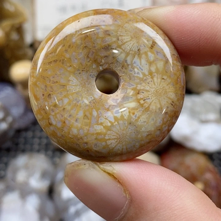 颈饰未镶嵌硅化珊瑚（珊瑚玉）