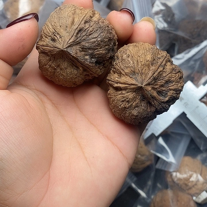 文玩核桃把件    20h