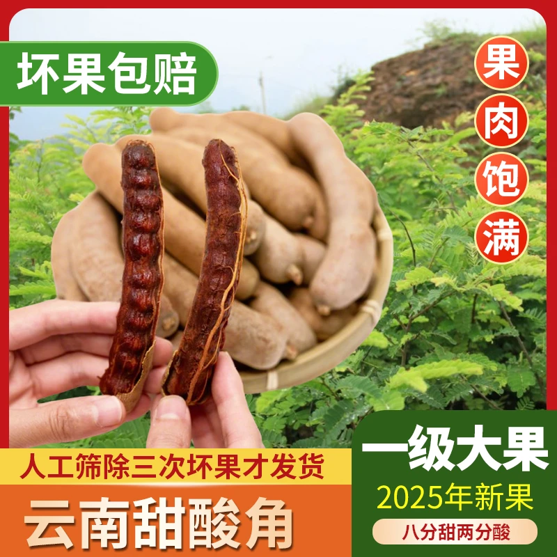 正宗甜酸角25年新鲜大果云南甜酸角酸角零食果干罗望子云南特产