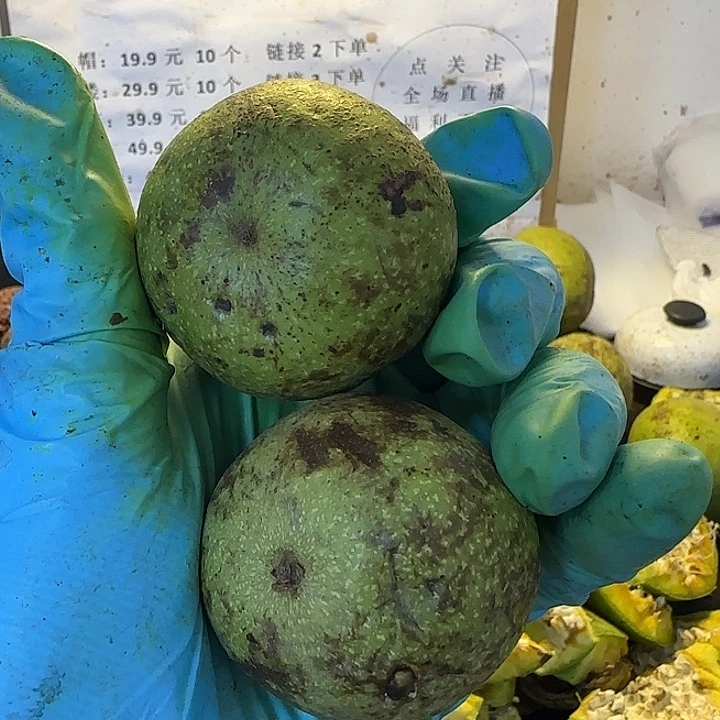 吊坠文玩核桃白狮子小2颗