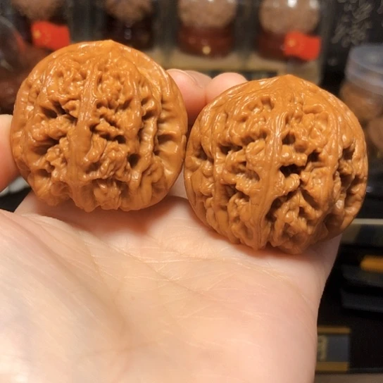 特价福利：平谷大粗筋