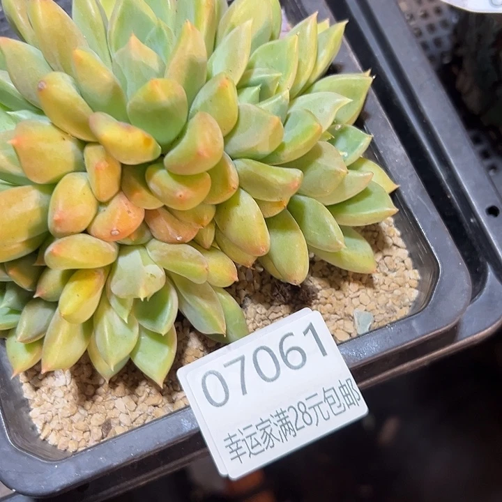幸运的是我没有遇到过