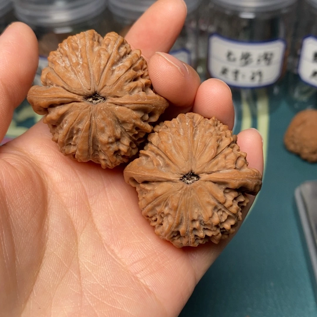 核桃41尺全品野生核桃