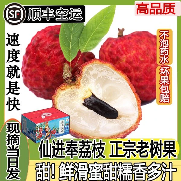 【顺丰空运】广东高州老树仙进奉荔枝3/5/10斤礼盒装现摘冷链保鲜发