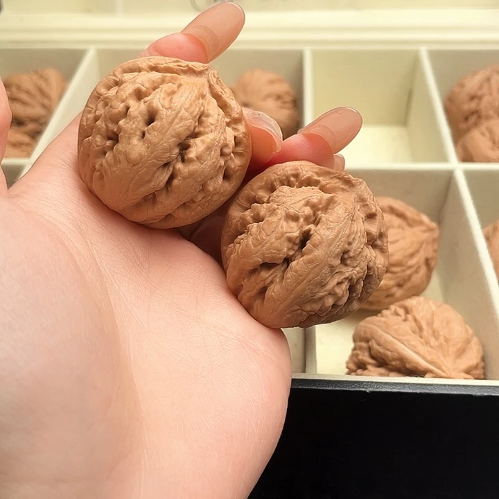 老***屋霸王龙核桃尺寸39