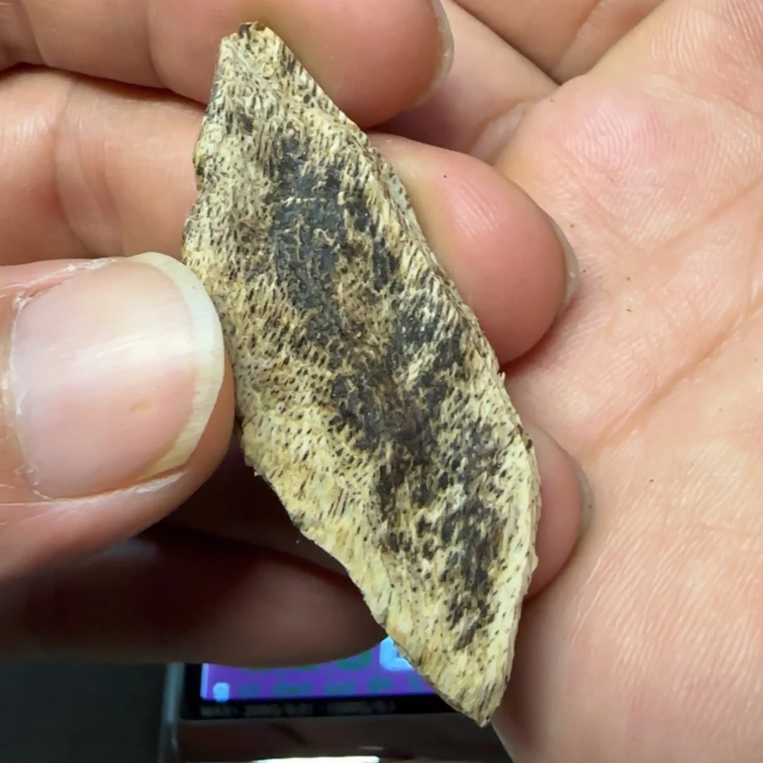 【闪购商品】沉香沉香香囊重**验国香系港香大屿山