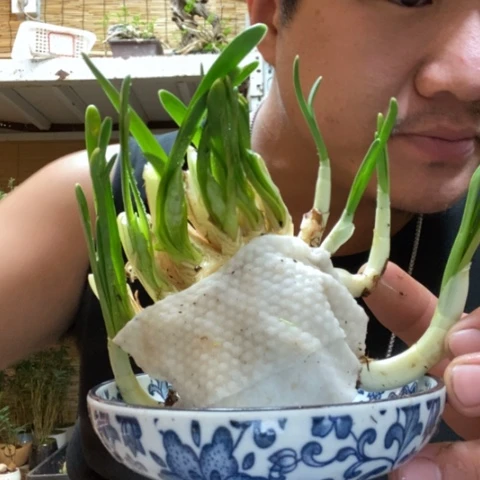 红陶?***木一物一拍所见即所得8