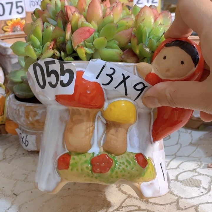 多肉花盆15包邮爱退款拉黑