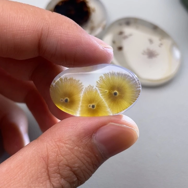 玛瑙/玉髓颈饰未镶嵌水**林