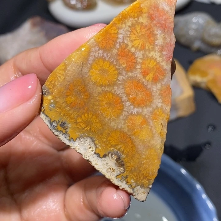 【闪购商品】未镶嵌珊瑚玉硅化玉