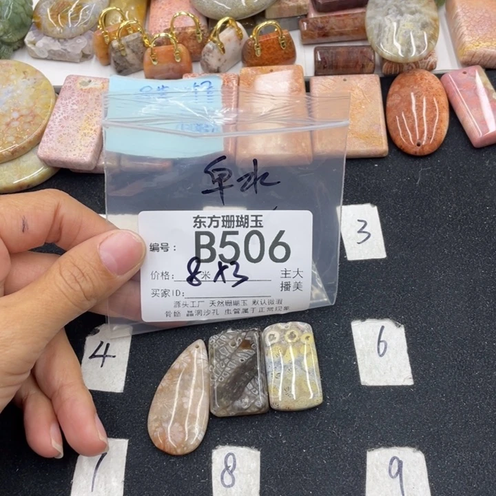 硅化珊瑚（珊瑚玉）颈饰合金皁**亓