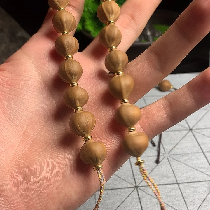 张*1.3橄榄核18颗