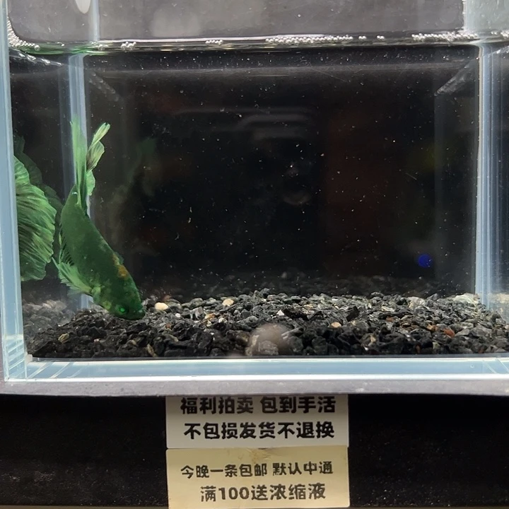 斗鱼竞拍跑单拉黑24日107