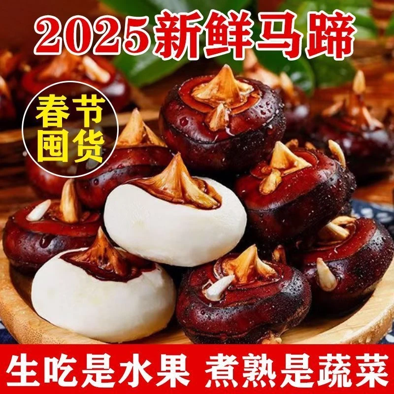 【新鲜马蹄】拍3斤送2斤到手五斤现挖现发马蹄荸荠地梨应季果蔬m1