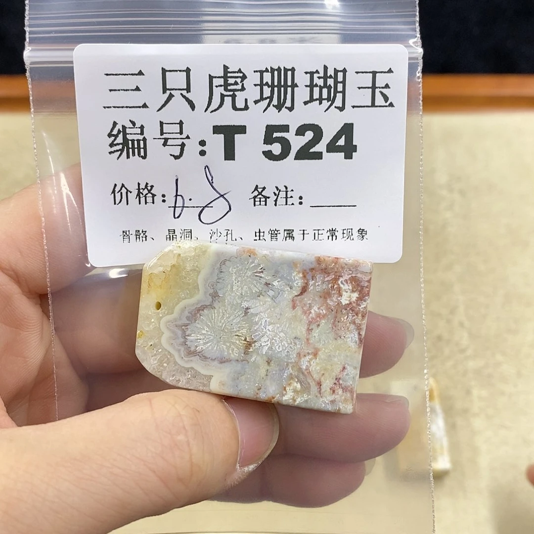 硅化珊瑚（珊瑚玉）1未镶嵌坚****脑