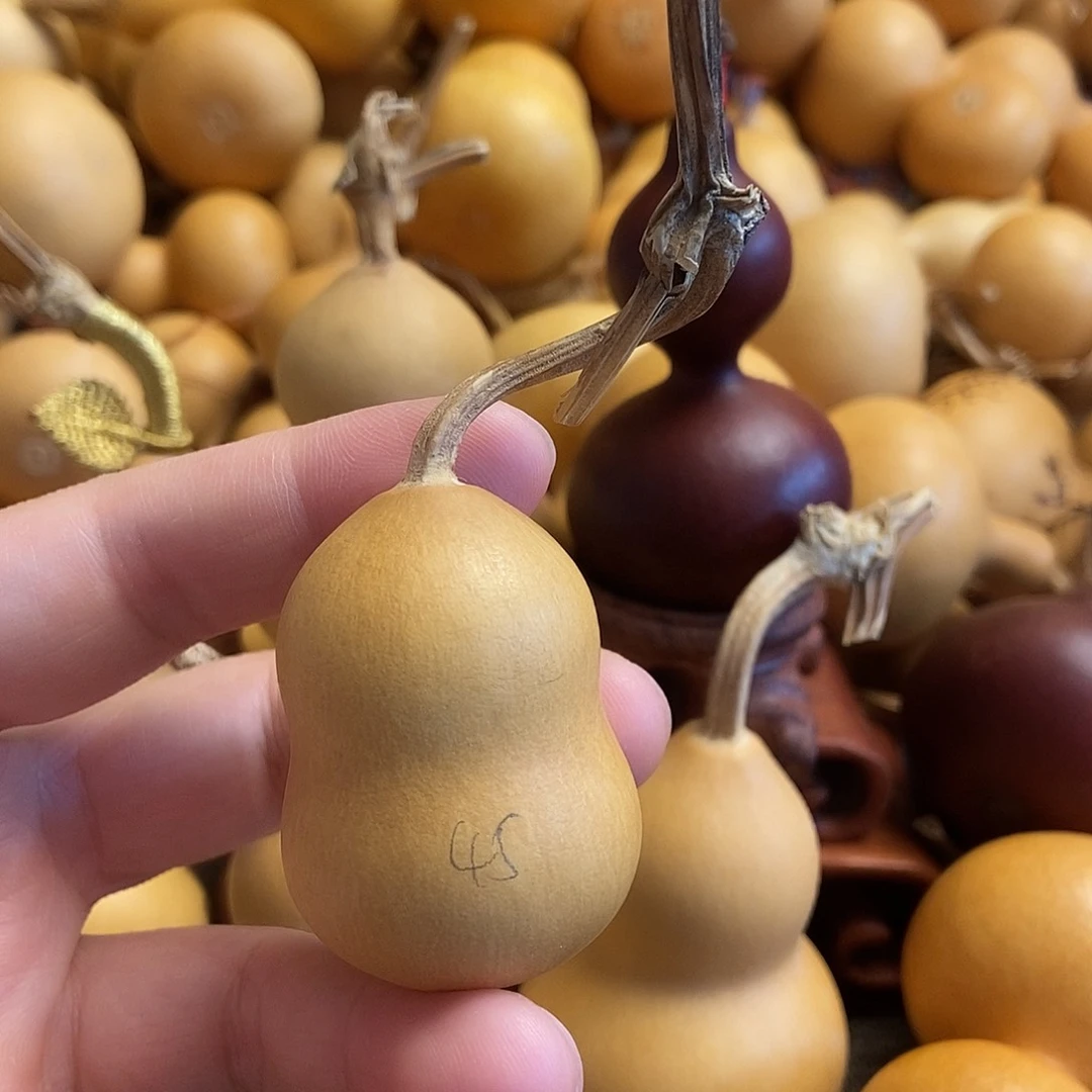 文玩葫芦 完美主义者 慎拍45