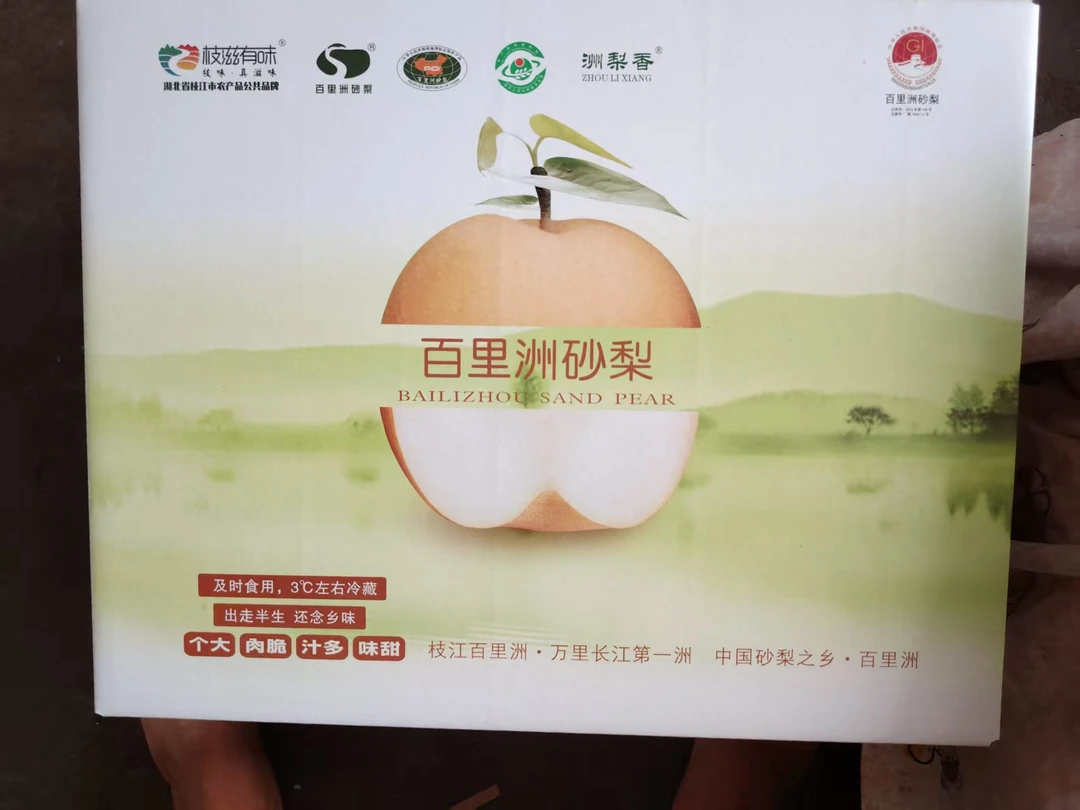 【12颗梨普通礼盒】宜昌百里洲砂梨现翠玉梨自家果园青皮苹果梨翠玉