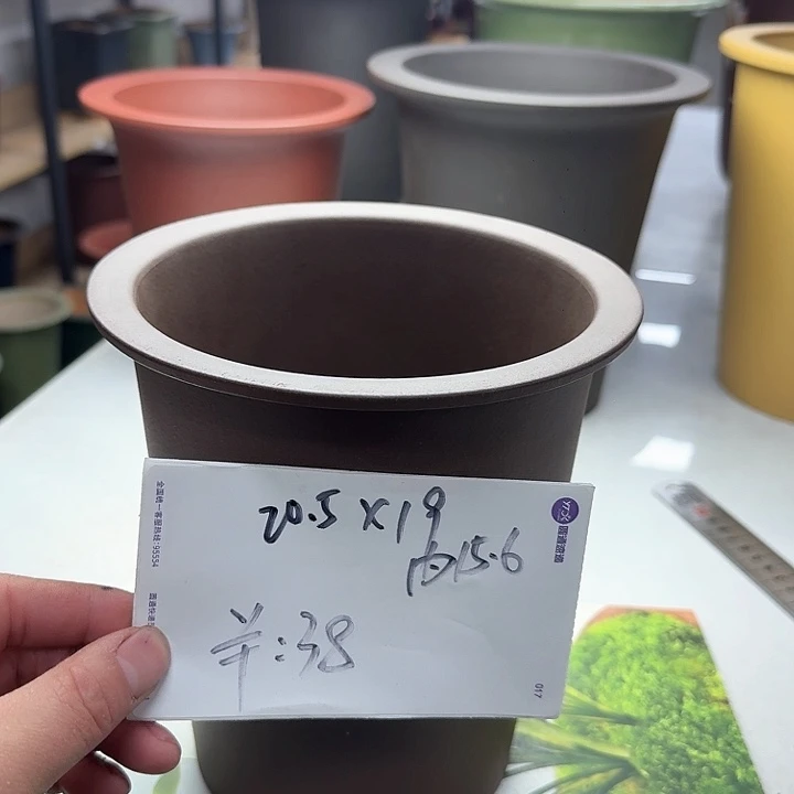 红陶22222222222222222222