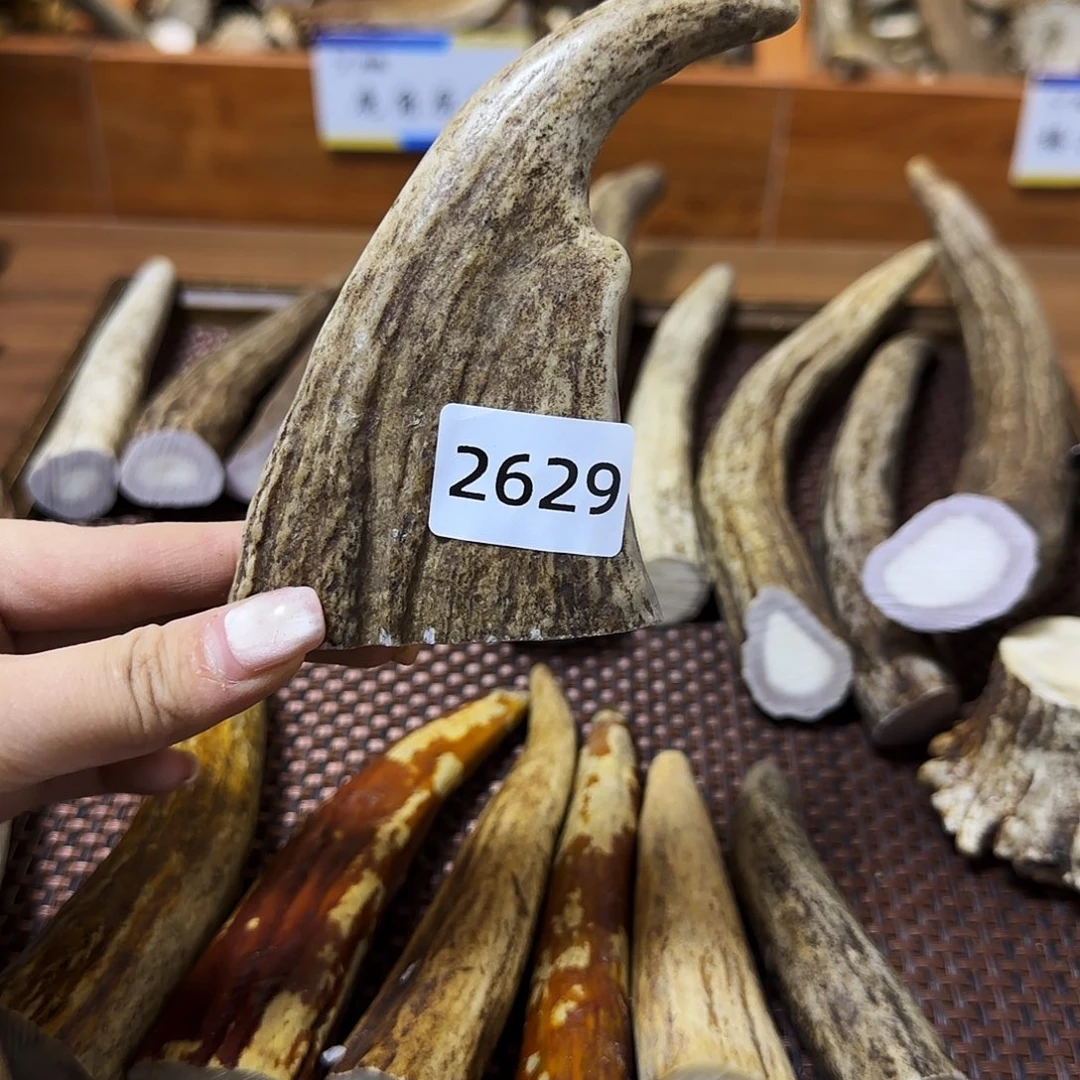 手串/手链鹿骨角尖2629