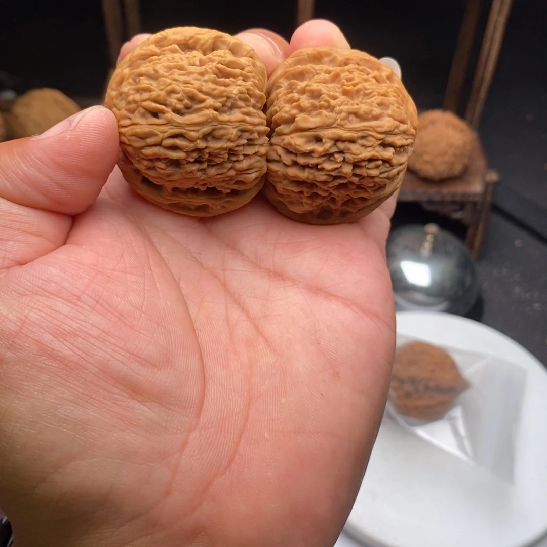 王**生涿鹿县南疆石，棱上有生长线