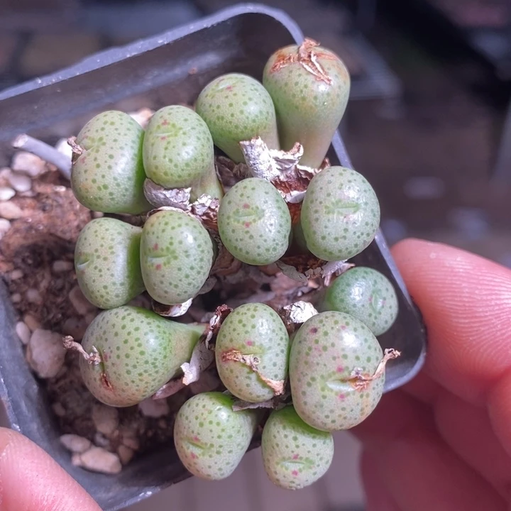 22137一个一个一个